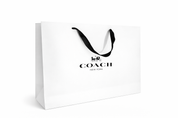 Bolsa Coach