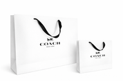 Bolsa Coach