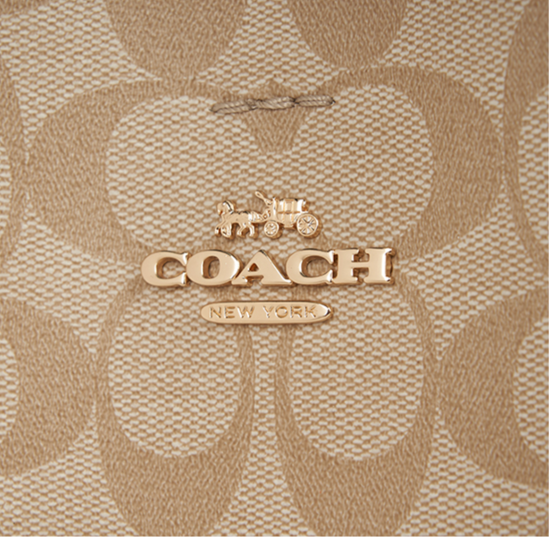 Coach Bucket Mollie 22 En Lona De Firma Fondo Rosa