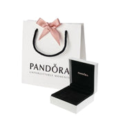 Caja + Bolsa Para Regalo Pandora
