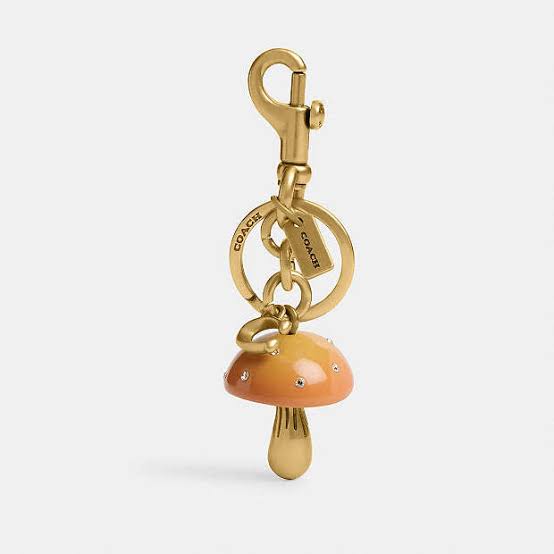 Charm Coach Chapiñon